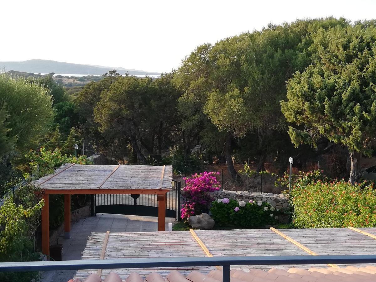 Villetta Corallo Porto Pollo Dış mekan fotoğraf